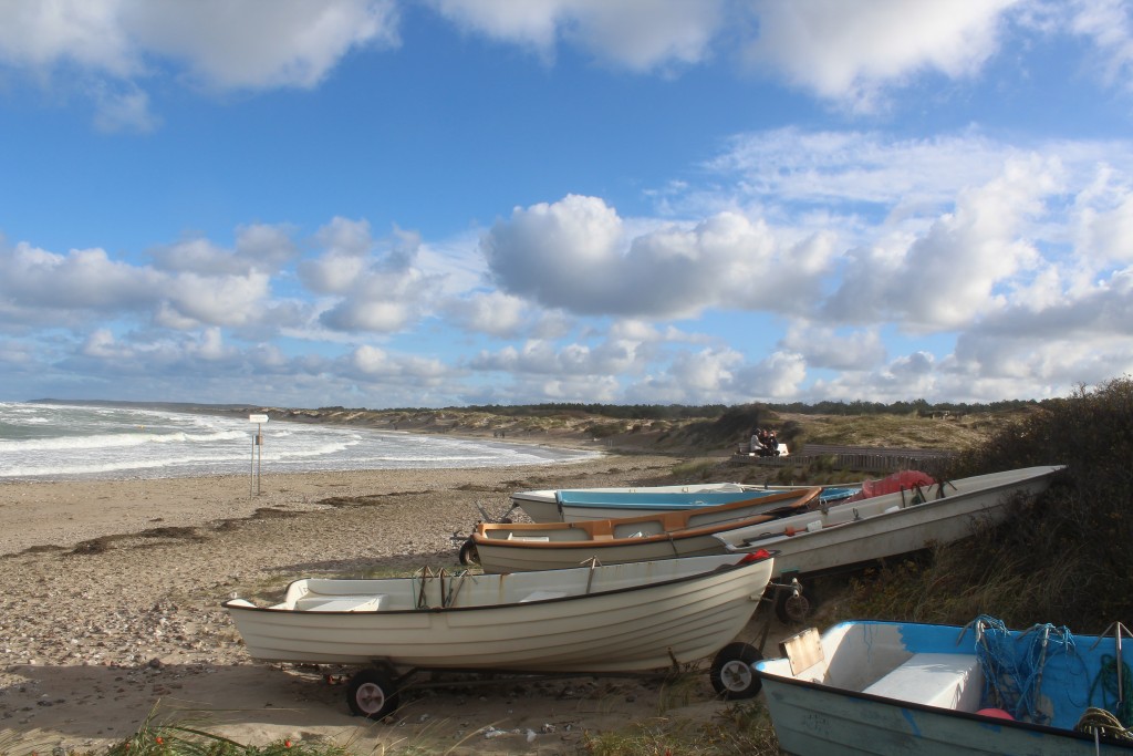 Liseleje strand. udsigt fra PYNTEN mod øst mod Melby Overdrev, isvilde Hegn og Tisvildeleje ude i horisonten. Foto ved 11-tiden søndag den 29. oktober 2017 af Ertik K Abrahamsen.