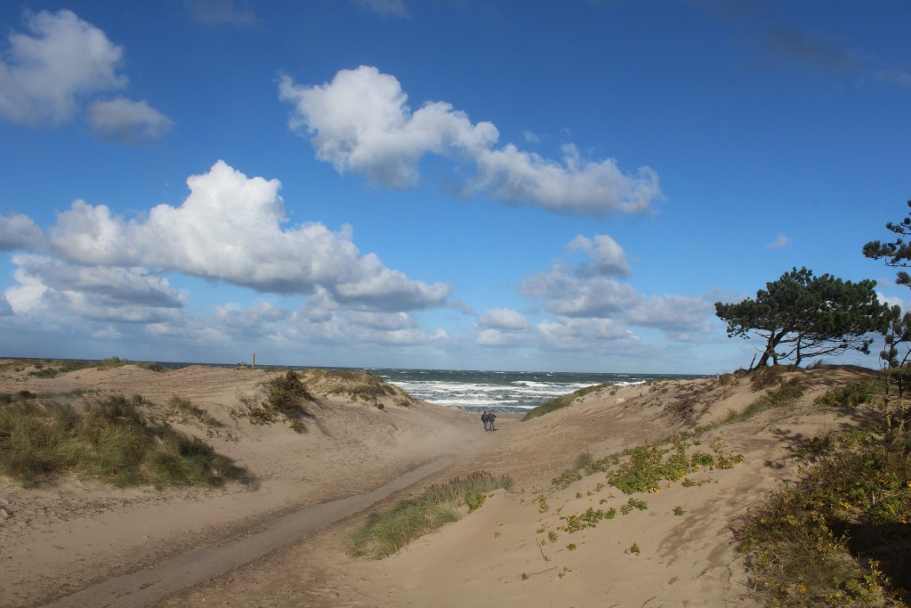 Liseleje Strand. Stormen Ingolf blæser en kraftig nordenvind ind på Nordsjællans Kattegat kyst. Foto i retning nord søndag foirniddag den 29. oktober 2017 af Erik K Abrahamsen.