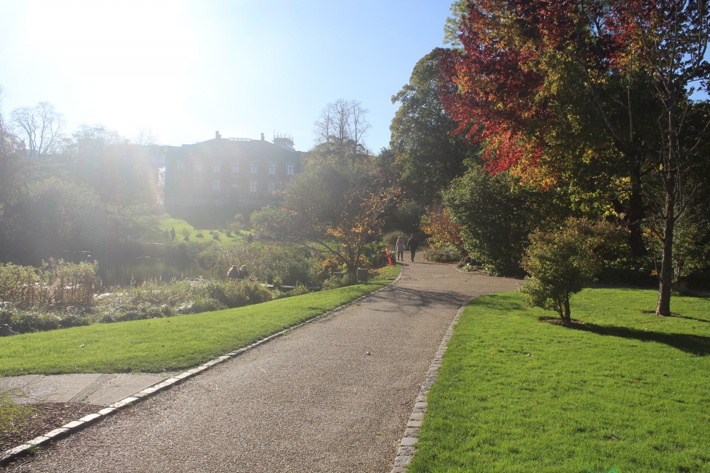 Botanisk have. Foto den 30. oktober 2017 af Erik K Abrahamsen.