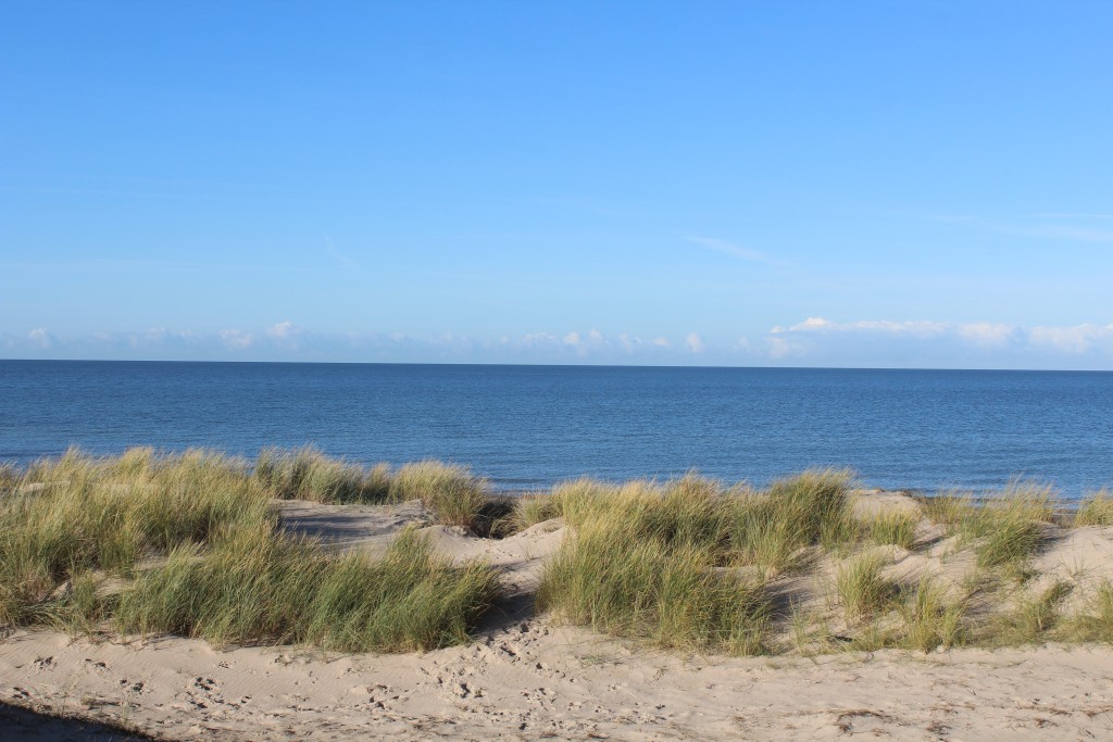 Kattegat ud for Troldeskoven i Tisvilde hegn. Foto mod nord den 7. november 2017 af Erik K Abrahamsen.