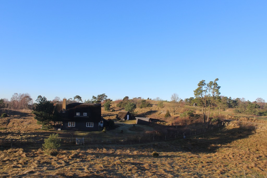 Udsigt mod nord mod ca. 60 m høje morænebakke med toppunkt "Udsugten". Foto den 7. januar 2018 af Eik K Abrahamsen.