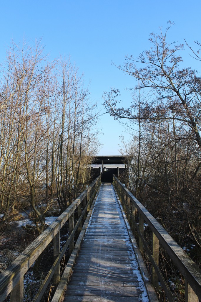 Walk bridge from sea shore through