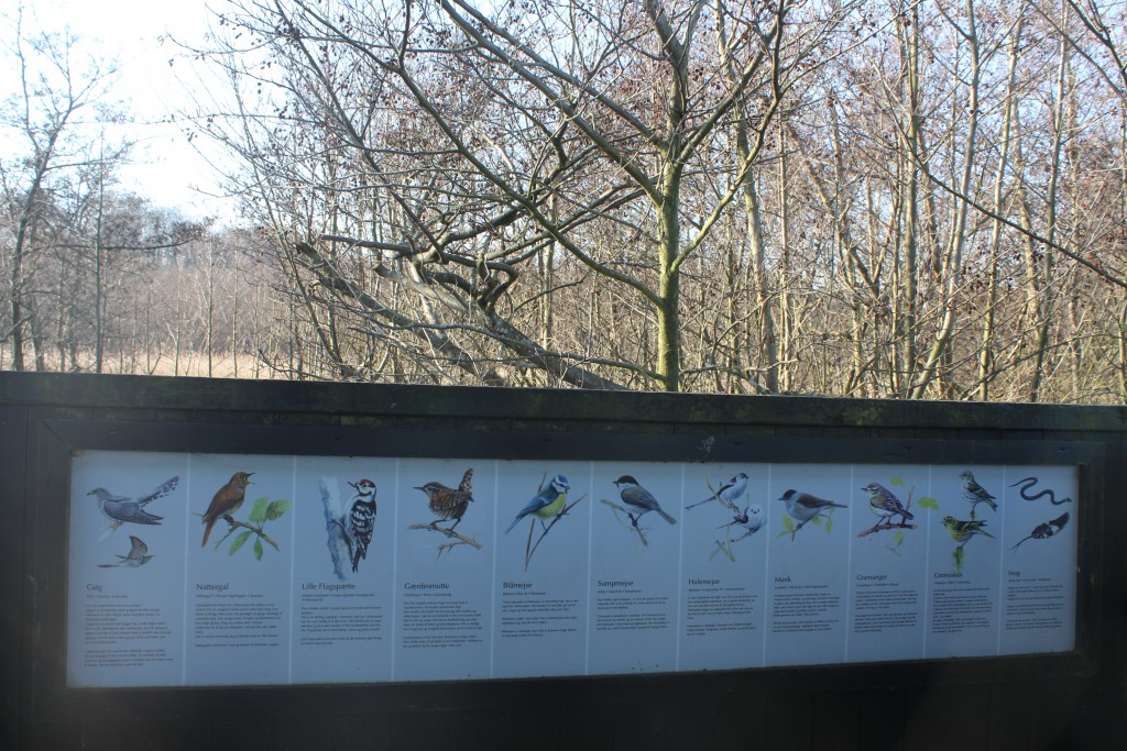 Plate inside view loin installation at Arresø lake. Phoot 9. february 2018 by Erik K Abrahamsen.