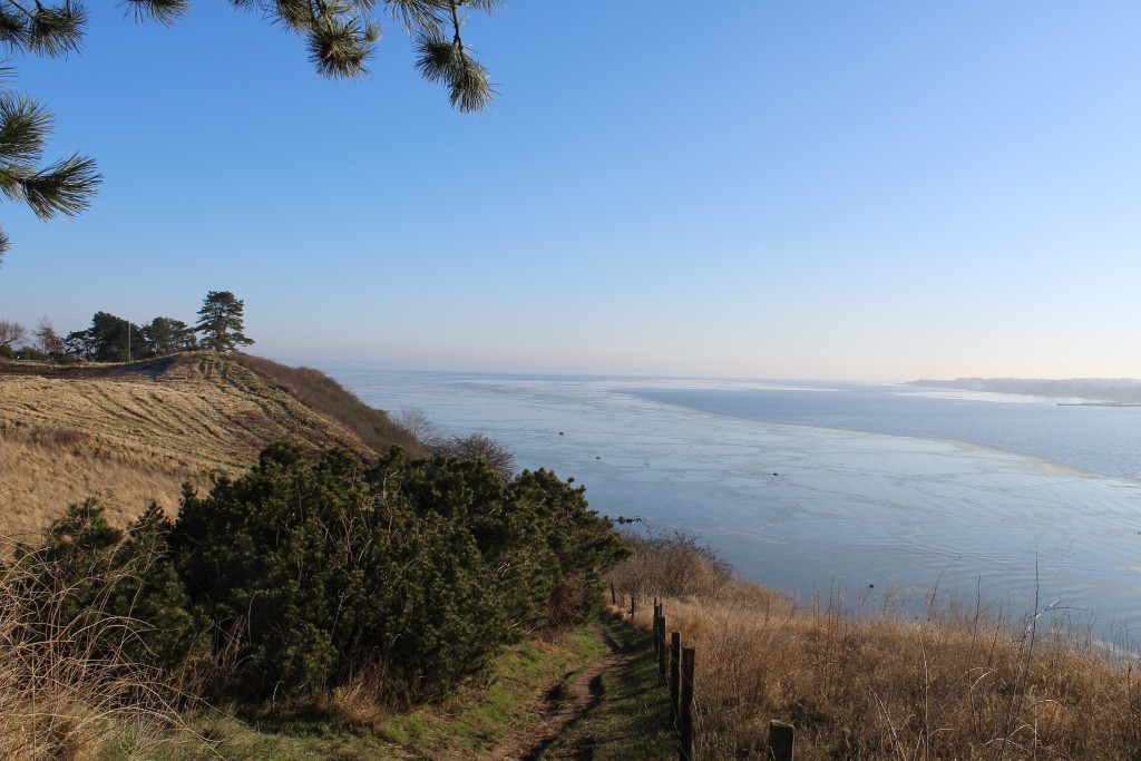 View from top of Store Karlsminde slop in direction east to Roskilde Fjord.