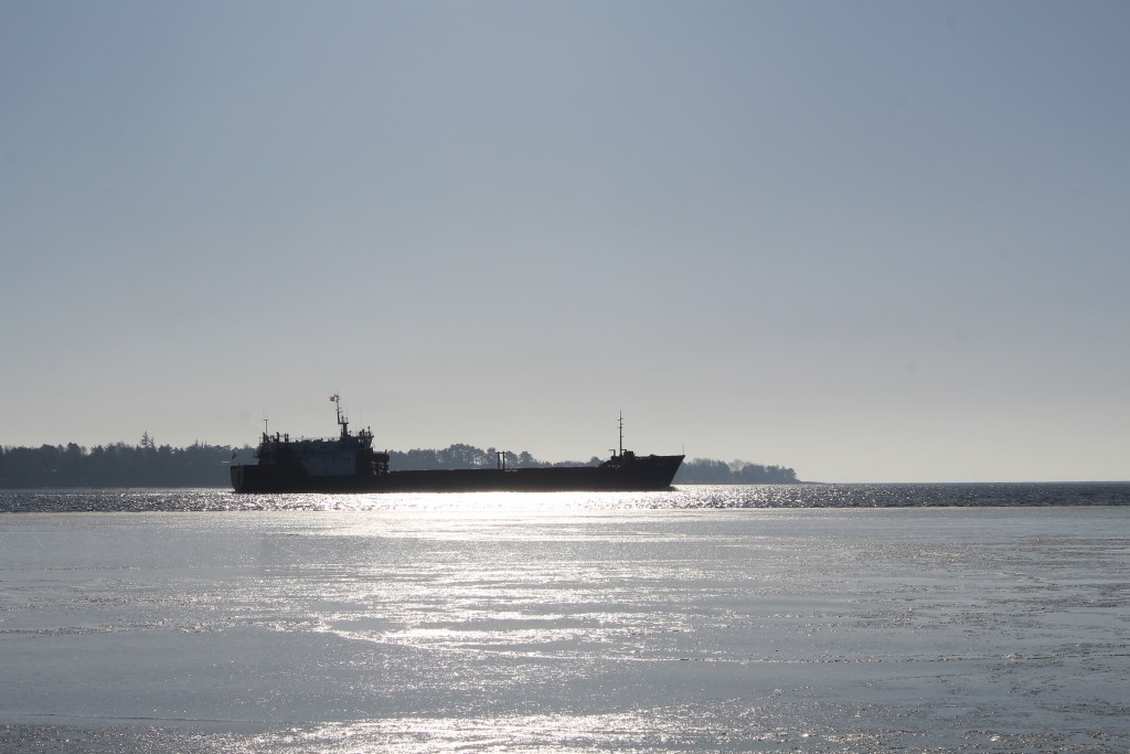 Cargo ship sails through Roskilde Fjord from east to west to Isefjord and Kattegat Sea. Photo in direction south to Hornhedrred. Photo 14. february 2018 by Erik K Abrahamsen.