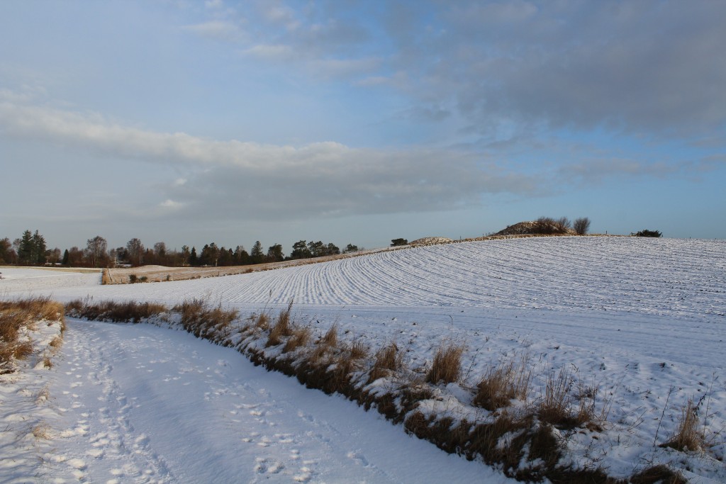 Syvhøje, Melby, Nordsjælland. Udsigt mod bronzealder gravhøse fra 1500 f.Kr. og hulvej. Foto i retning nord den 16. februar 2018 kl. ca 8.30 af Erik K Abrahamsen.