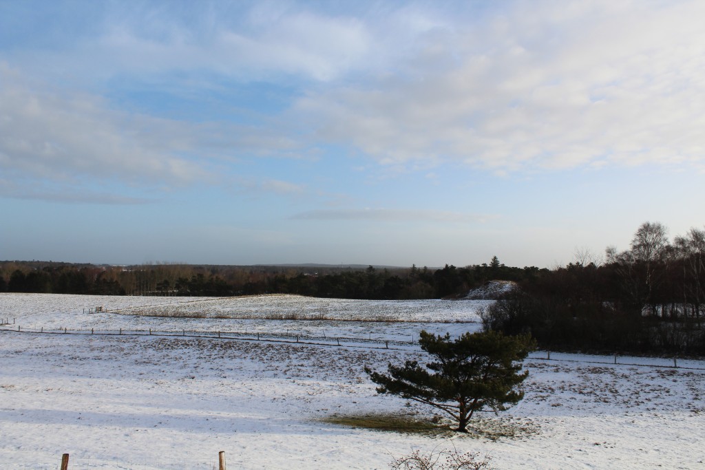 Panorama view from Syvhøje bronze alder gravhøje mod Asserbo, Tisvilde Hegn og kattegat helt ude i horisonten