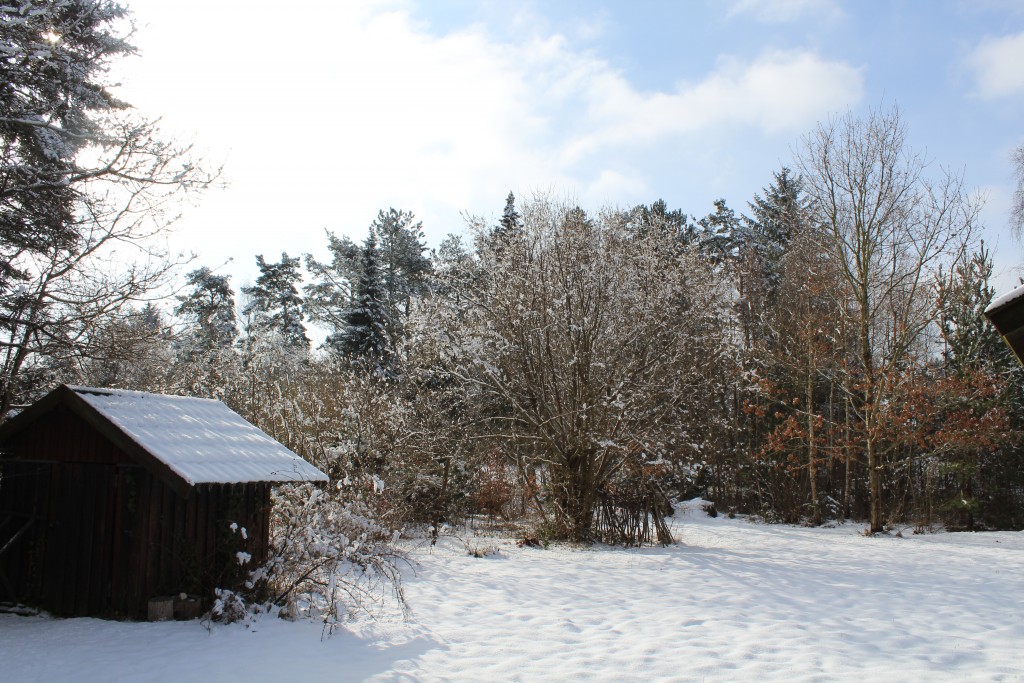 Udsigt mod min have, mit redskabskur og kvisthytte under nøødetræ byget af min nevø og hans børn. Foto iretning syd den 10 marts 2018 af Erik K Abrahamsen.