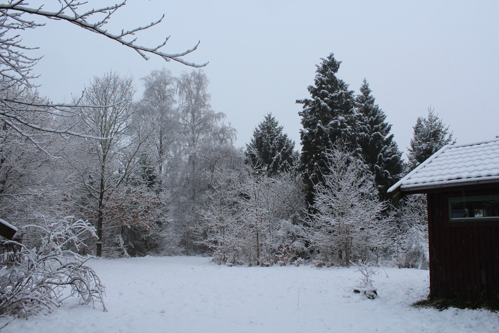 Udsiigt til min have den 8. marts 2018. Foto af Erik K Abrahamsen.