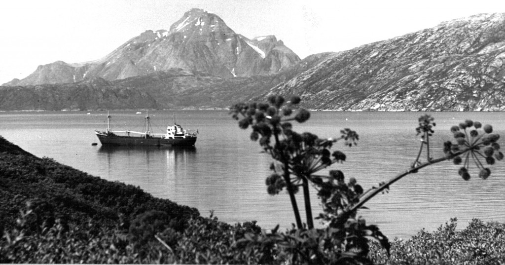 Britania i Arsuk Fjord ud for Flådestation grønnedal.