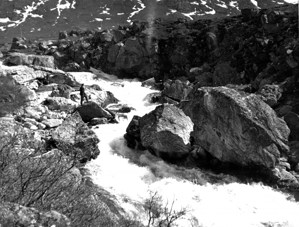 Mennesket og naturen. Bryggerens Elv der løber gennem Grønnedalen ud i Arsuj Elv. Foto 1961.