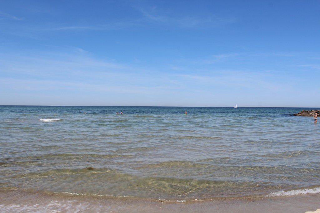 Hyllingebjerg beach. View in direction north to kattegat Sea- Photo 2. june 2018 by Erik K Abrahamsen