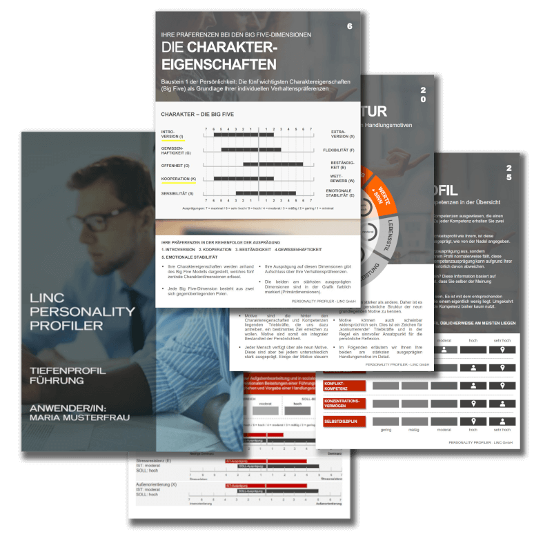 LPP - und- Tiefenprofile - LINC PERSONALITY PROFILER