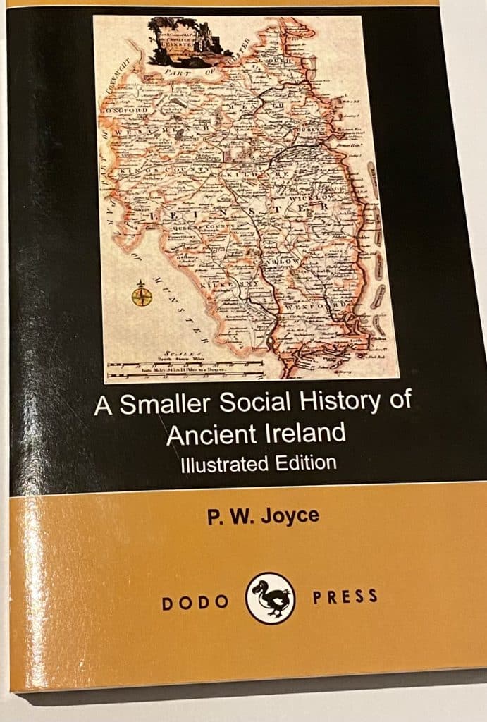 Book cover of A smaller Social History of Ancient Ireland