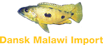 Dansk Malawi Import