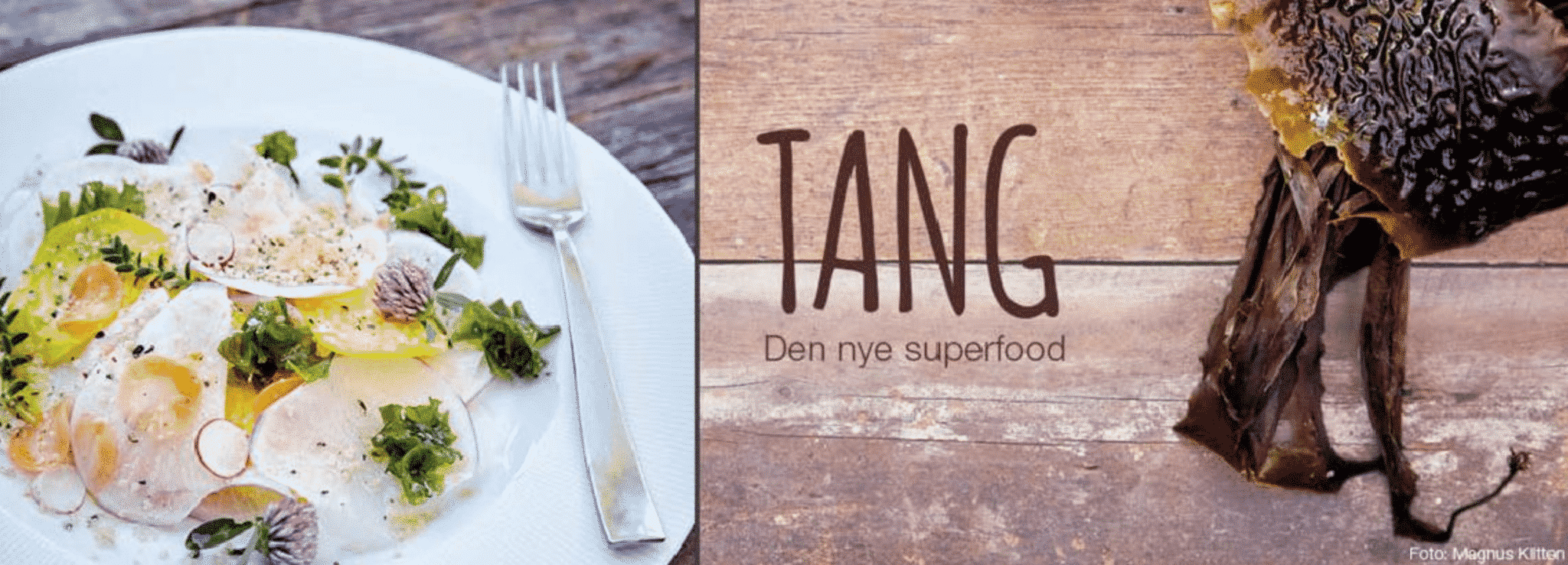 kenstorkøkken Banner kenstorkøkken tang event