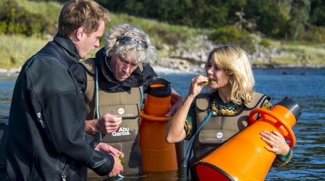 kendisfamilier på tangsafari Kendisfamilier på tangsafari