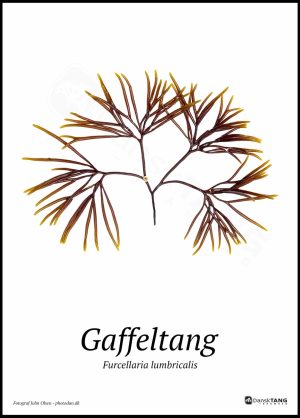 Gaffeltang plakat