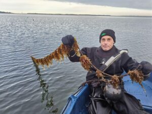 Claus Falconi på sukkertangsfarmen hos Dansk Tang