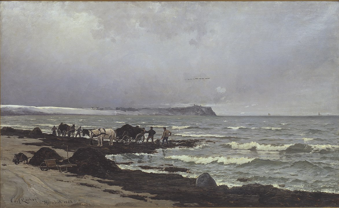 Carl Locher maleri af Landmænd der henter tang ved Hornbæk strand.