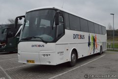 Ditobus-Turist-395