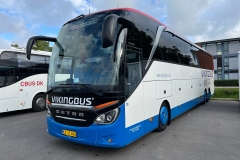 Vikingbus-296