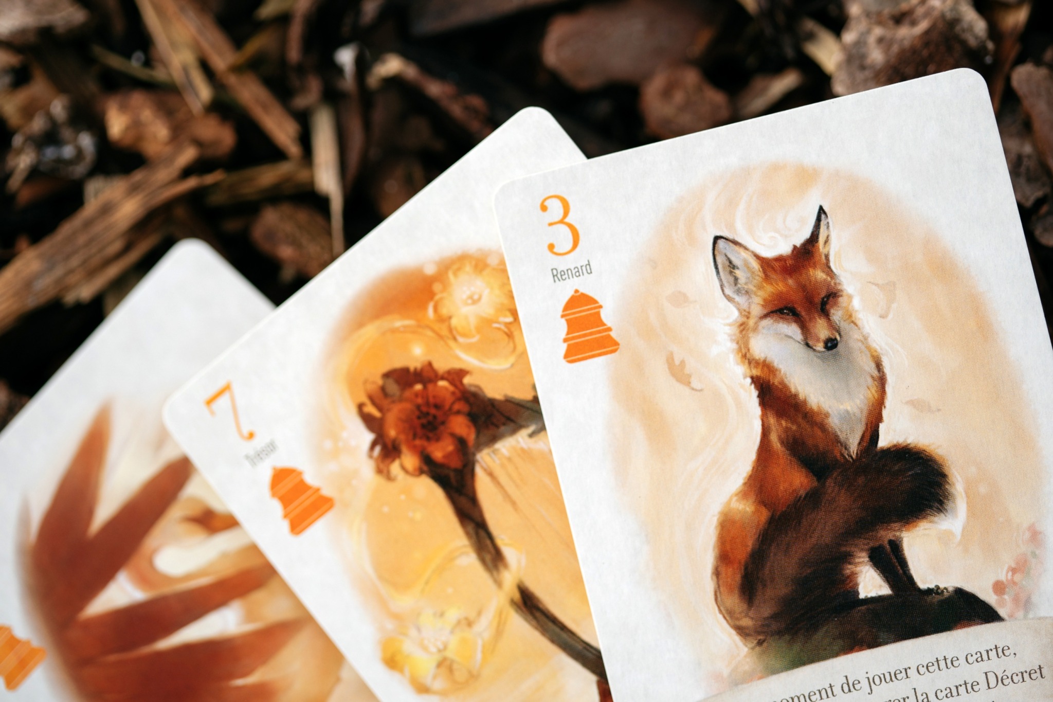 Le renard des bois origames jeu de société