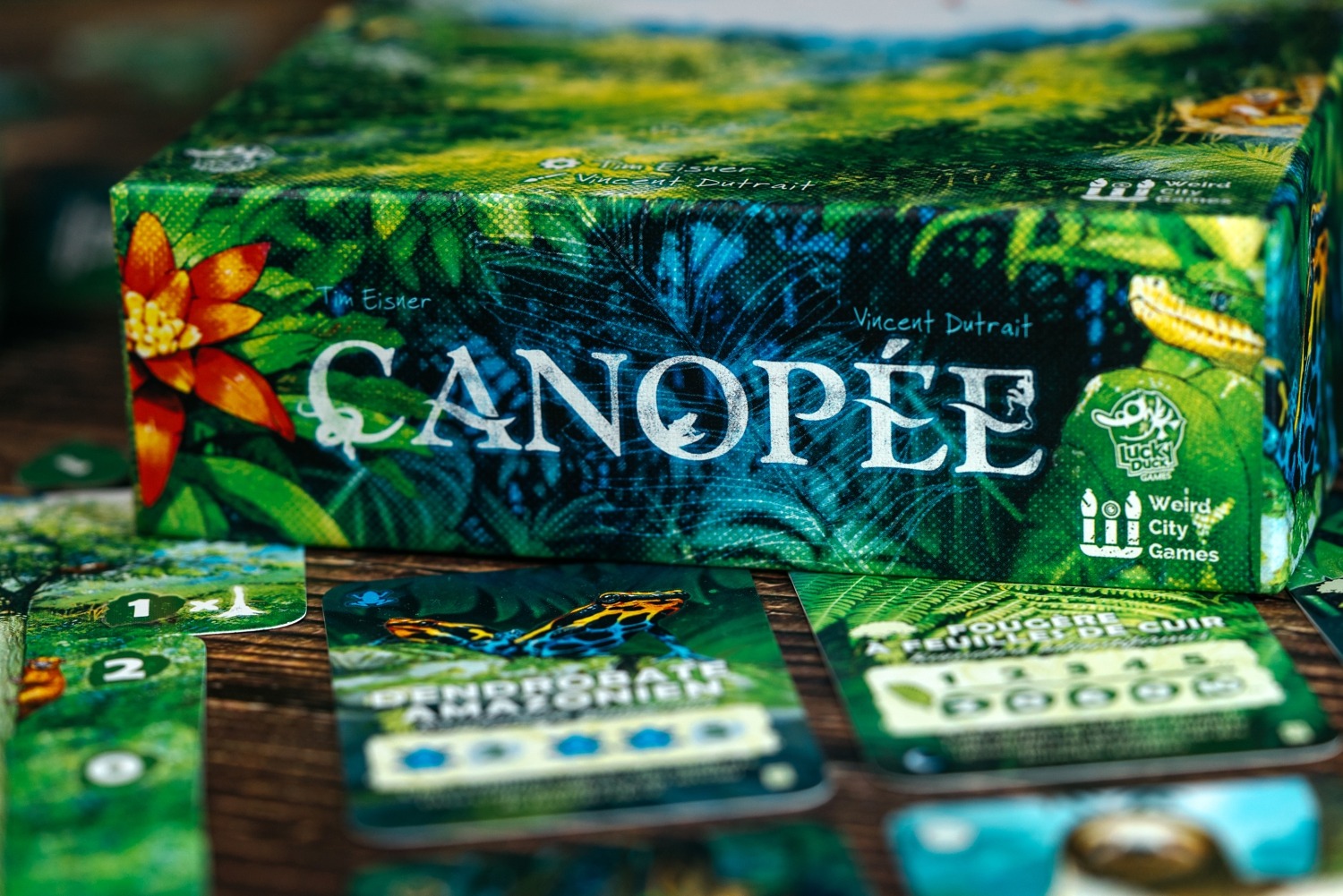 Canopée Canopy boardgame photo jeu de société lucky duck games 
