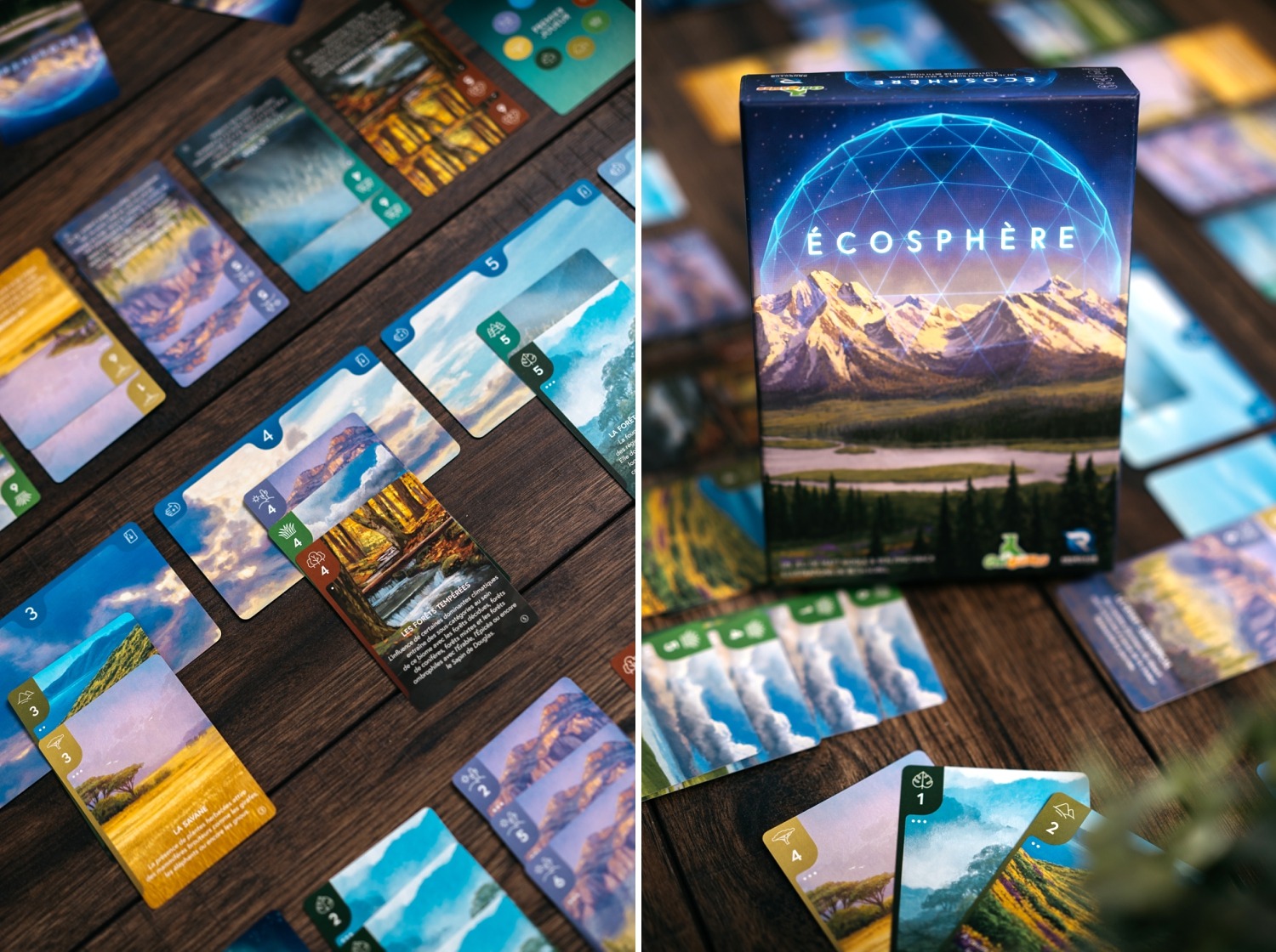 Ecosphère origames jeu de société boardgame