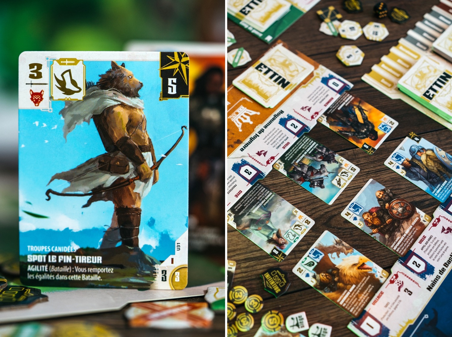 ETTIN : L'Union fait la Force origames wizigames boardgame jeu de société