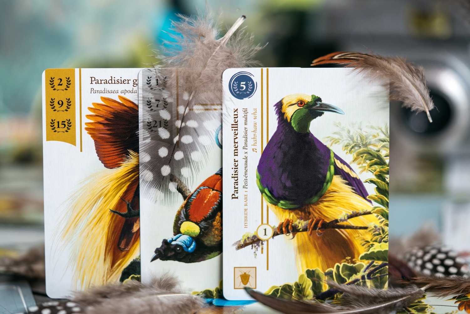 Oiseaux de paradis origames jeu de société photographe boardgame