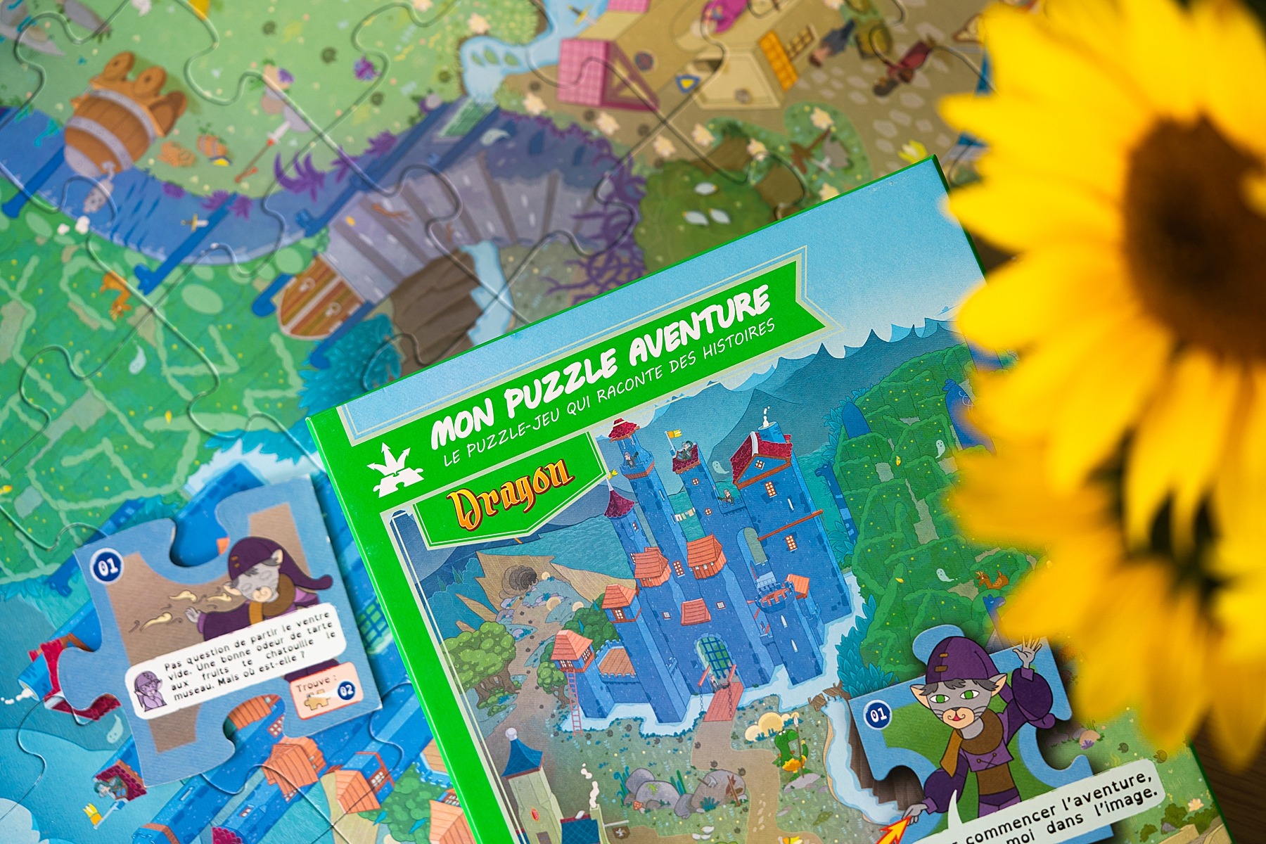 Puzzle aventure game flow jeu de société 