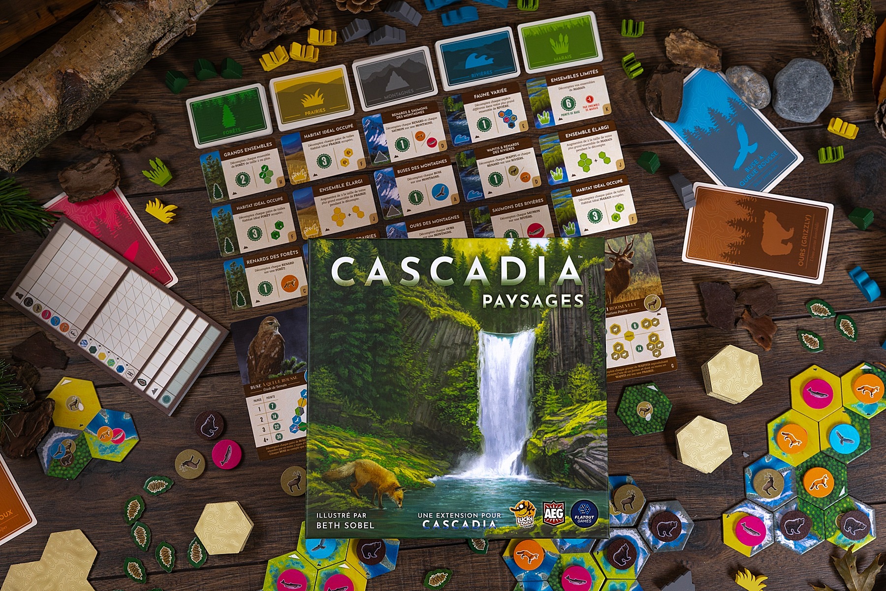 Cascadia paysages lucky duck games jeu de société AEG