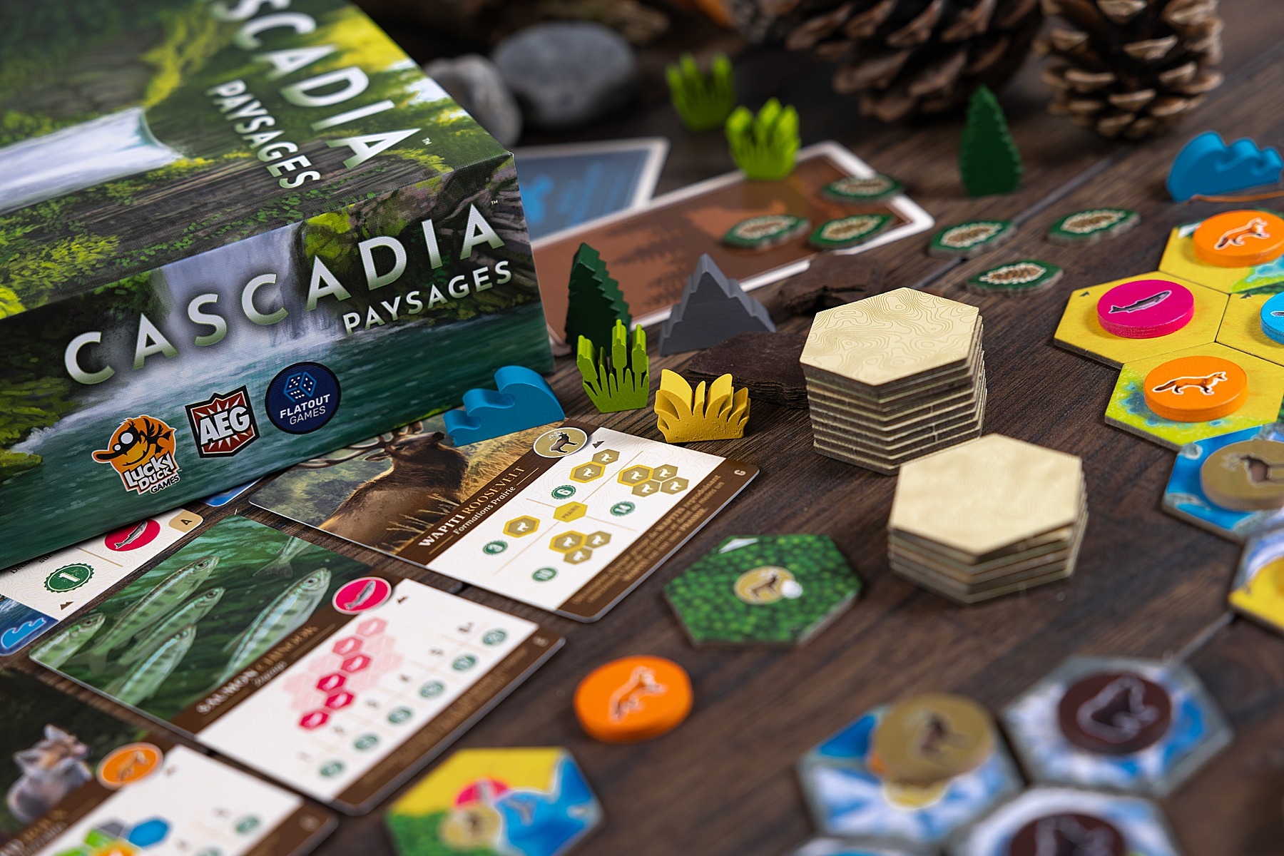 Cascadia paysages lucky duck games jeu de société AEG