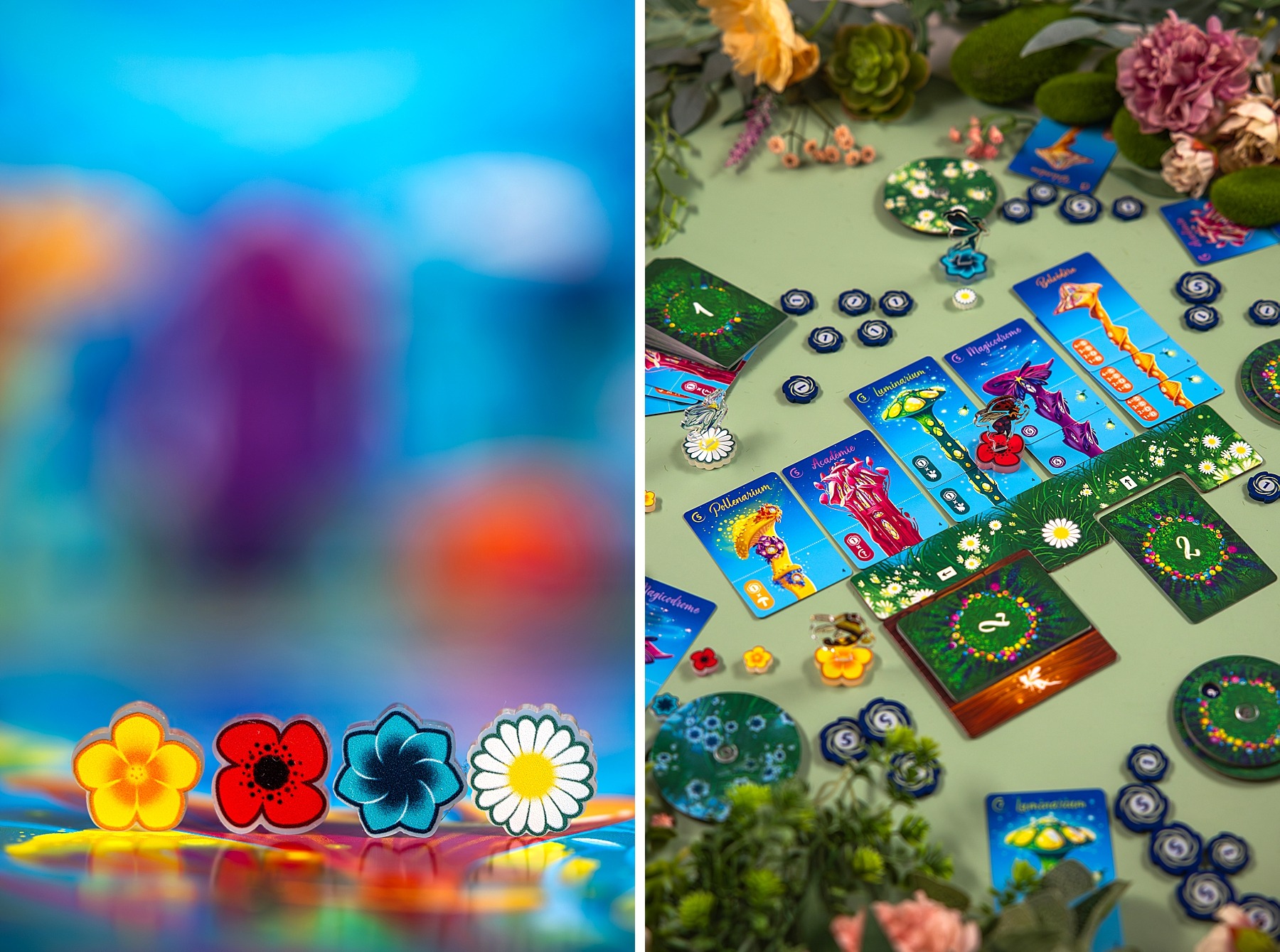 Fairy ring repos prod amsodée boardgame jeu de société