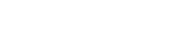 Bork-Festival-1.png