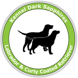 Kennel Dark Sapphires