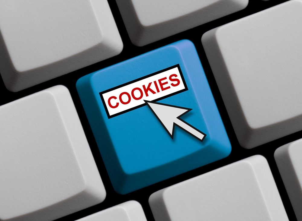 Web cookies