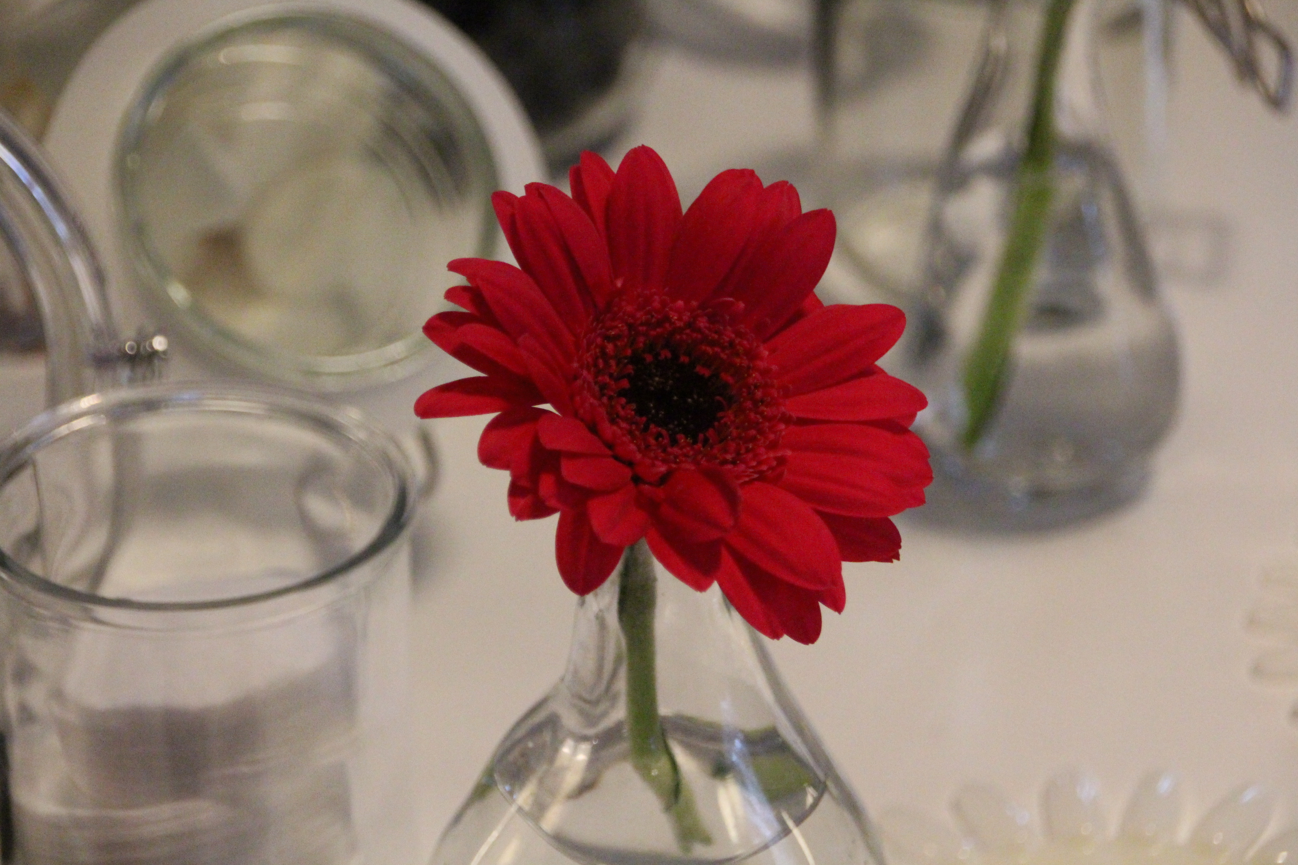 Event: Beauty-Blogger-Cafè im Oktober 2015 #BBC2015