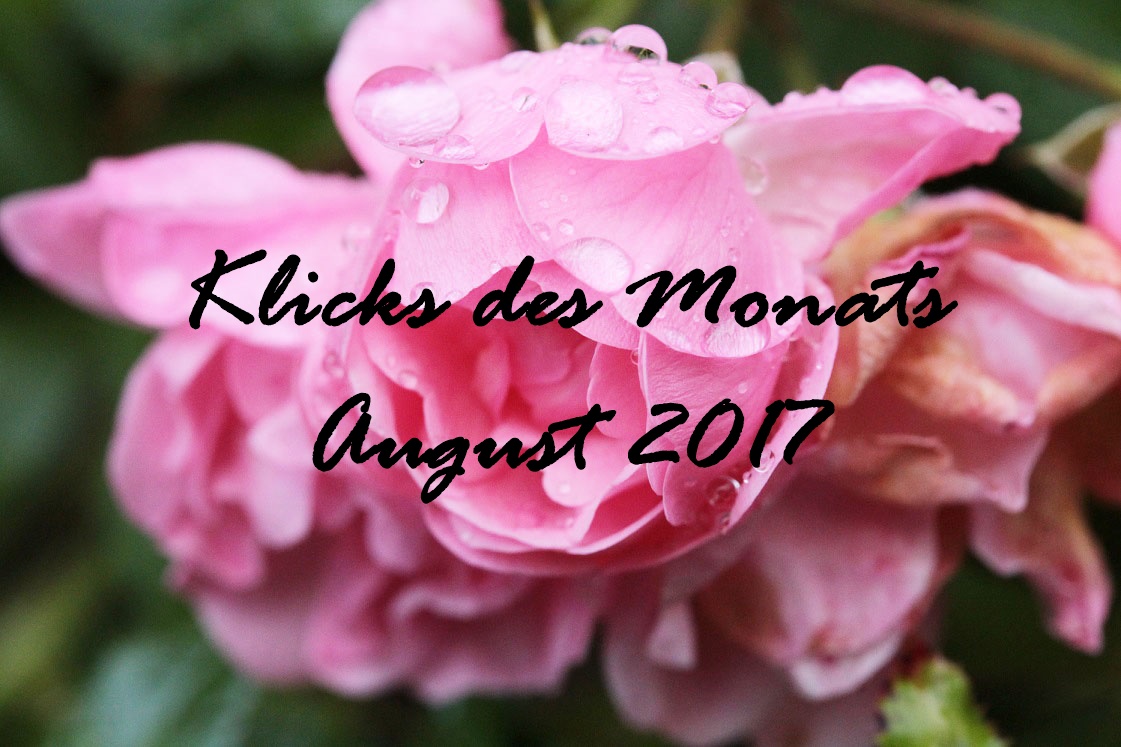 Klicks des Monats August 2017 | mit DIY-Anregungen, dem Kosmetikcheck & Tipps zum Entschleunigen