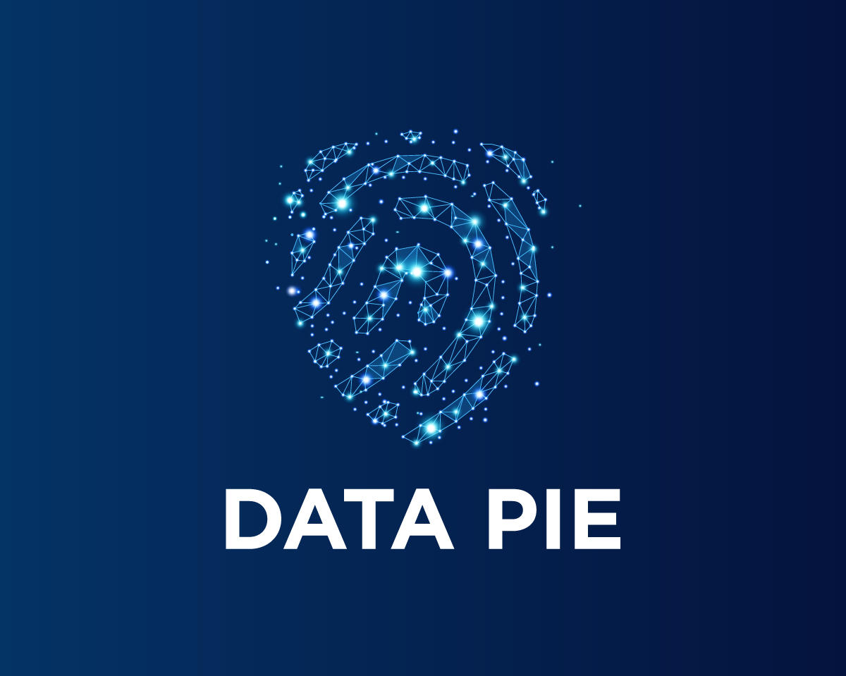Data Pie Cybersecurity Schweiz