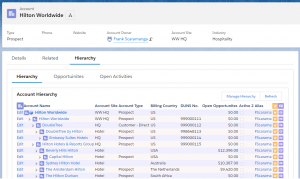 Inline Account Hierarchy