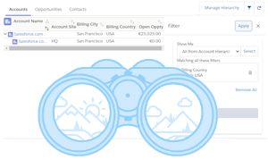 Searching and Filtering in an Account Hierarchy 