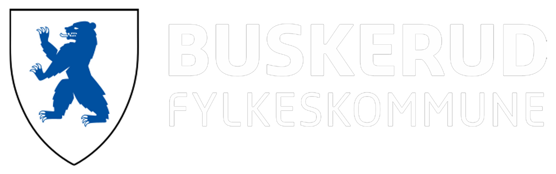 Buskerud Fylkeskommune logo