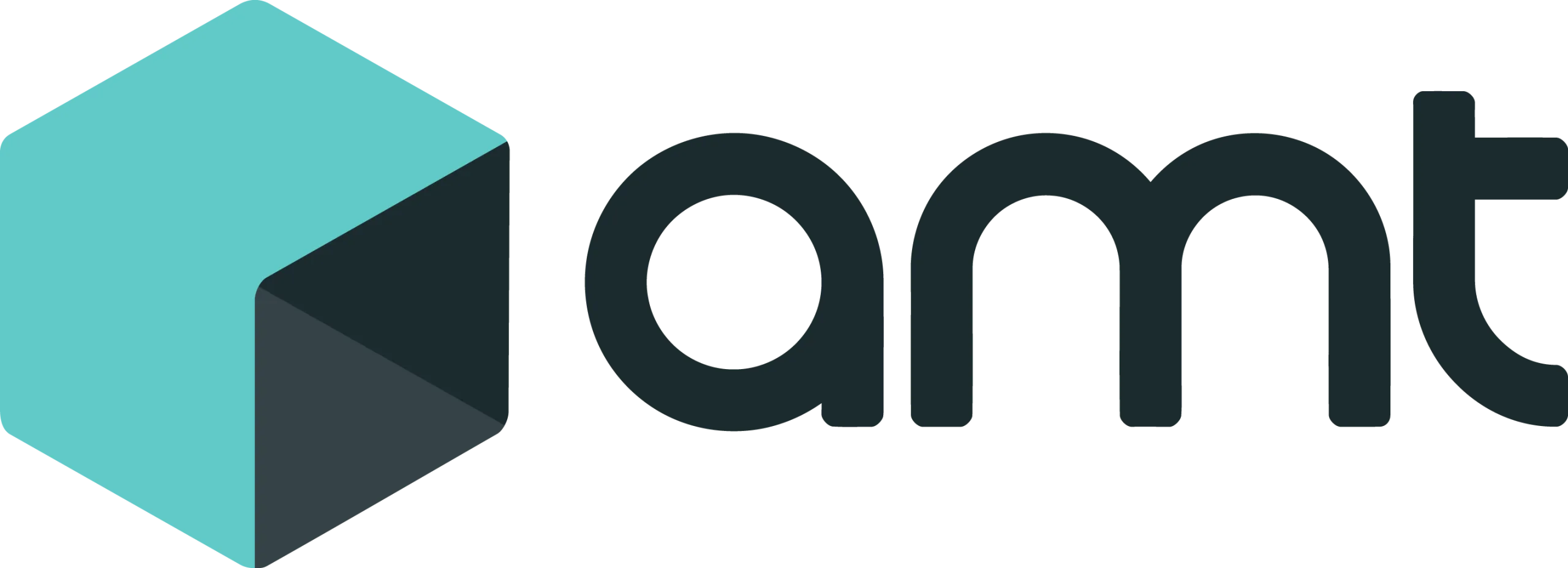 logo-amt-official