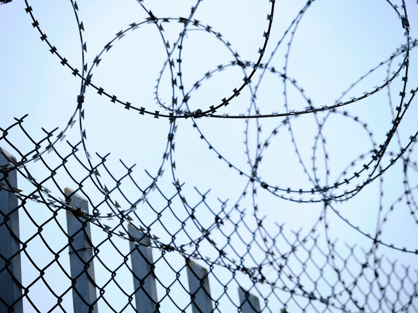 a barbed wire fence