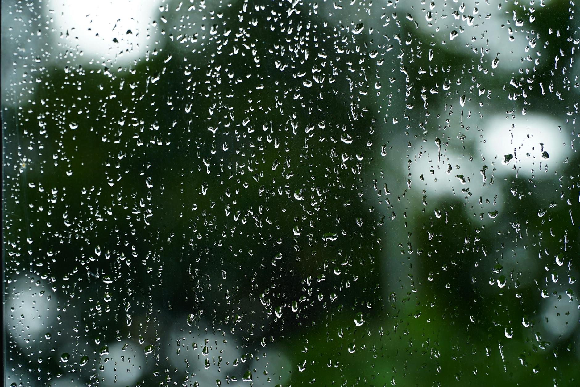 glass wall with water flows and drops