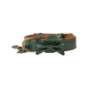 DWAM Halsband Bowie - Groen - L