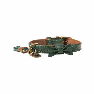 DWAM Halsband Bowie - Groen - XXXS