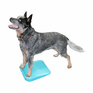 FitPAWS Balance Ramp - 35 cm